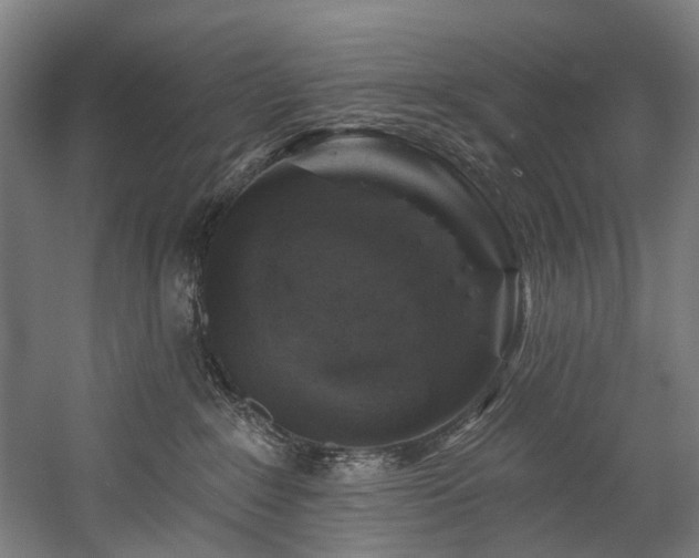 X0000058770235200509301052