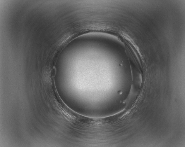 X0000058770249200509301051
