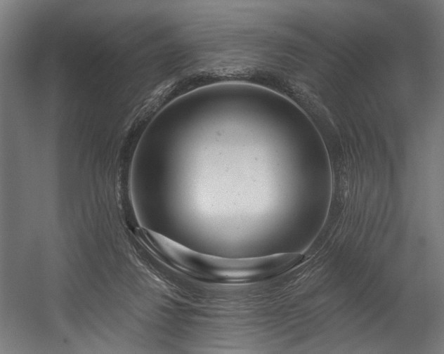 X0000058770260200509301051