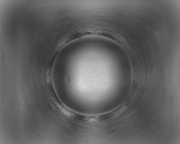 X0000058770285200509301052