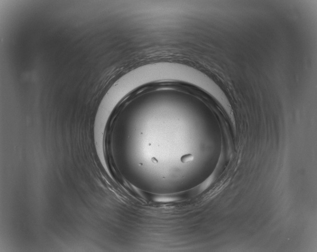 X0000058770288200509301052