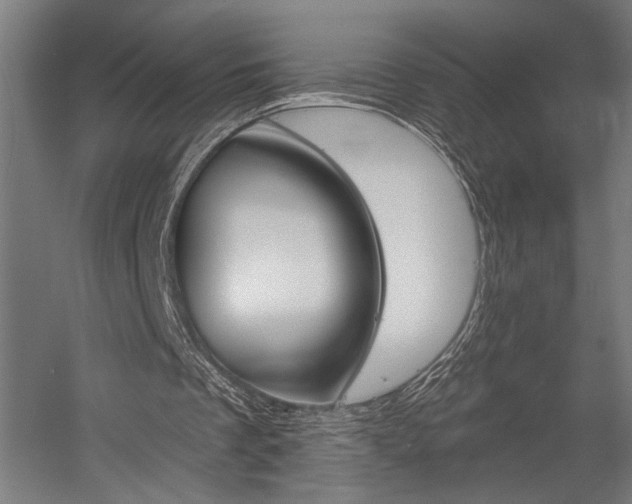 X0000058770289200509301051