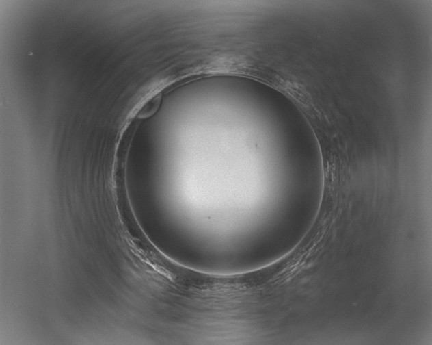 X0000058770292200509301051