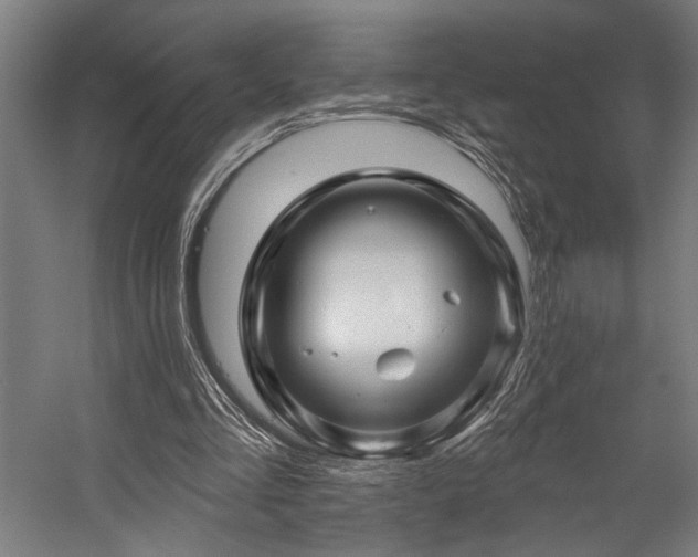 X0000058770293200509301051