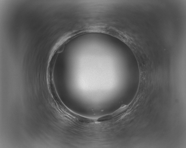 X0000058770294200509301051
