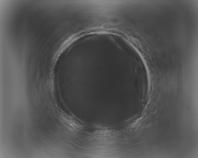 X0000058770295200509301051