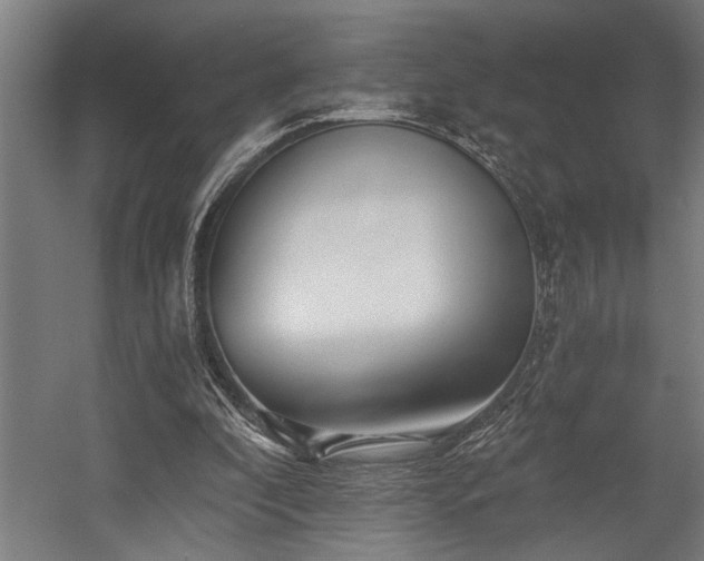 X0000058770296200509301051