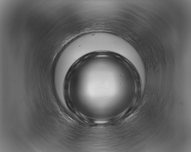 X0000058770301200509301051