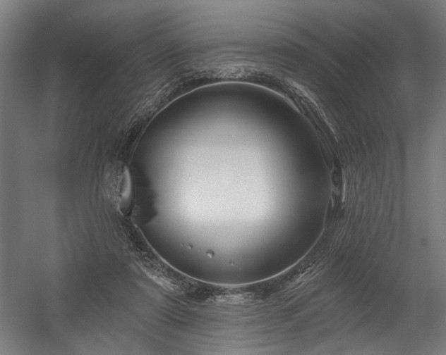 X0000058770307200509301051