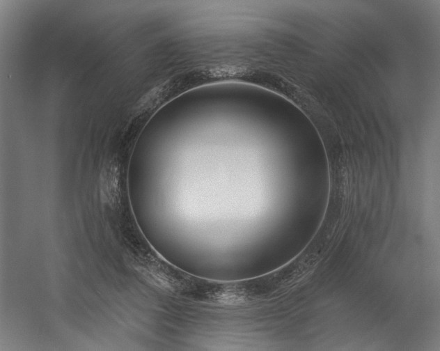 X0000058770308200509301051