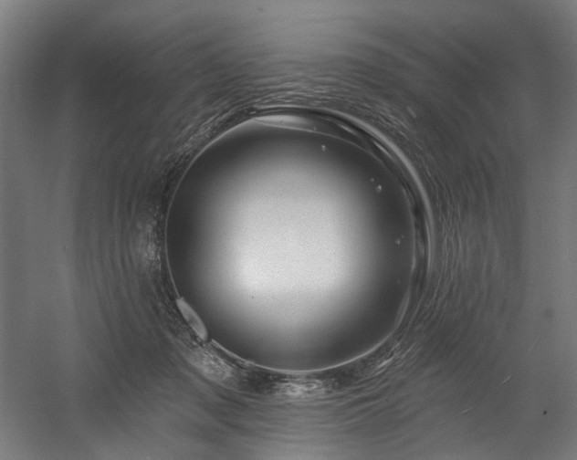 X0000058770317200509301051