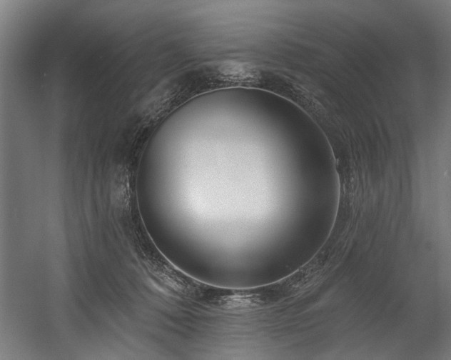 X0000058770320200509301051