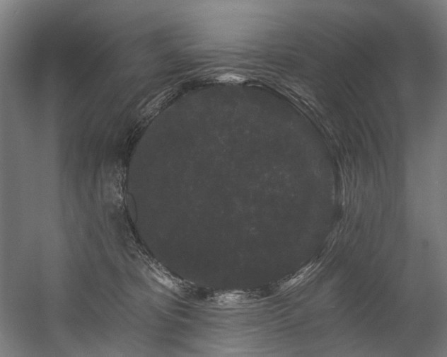X0000058770325200509301051