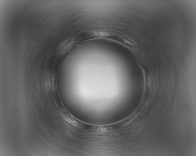 X0000058770330200509301050