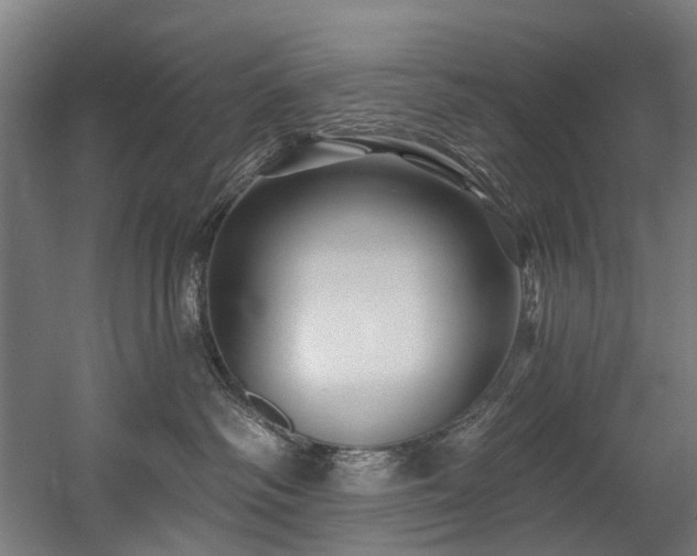 X0000058770334200509301050