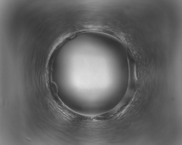 X0000058770342200509301050