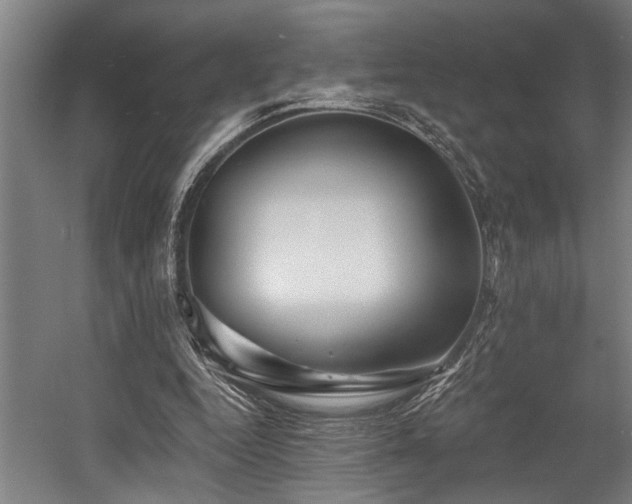 X0000058770344200509301050