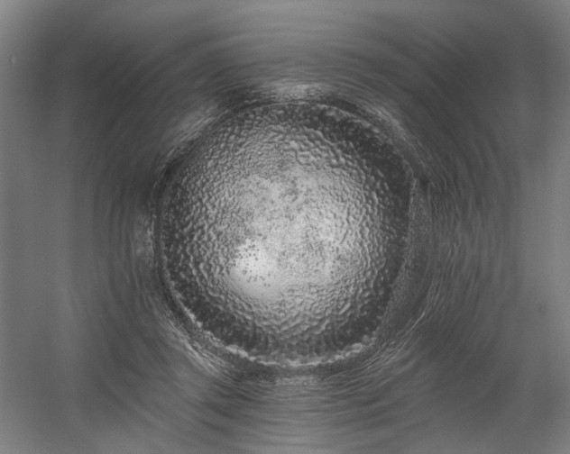 X0000058770357200509301050