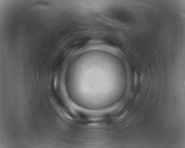 X0000058770380200509301050