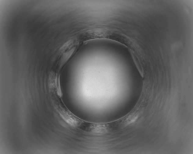 X0000058770384200509301050