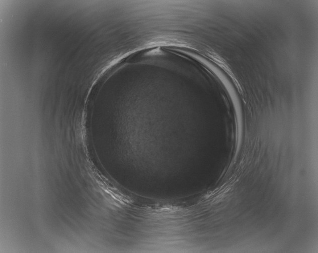 X0000058770387200509301049