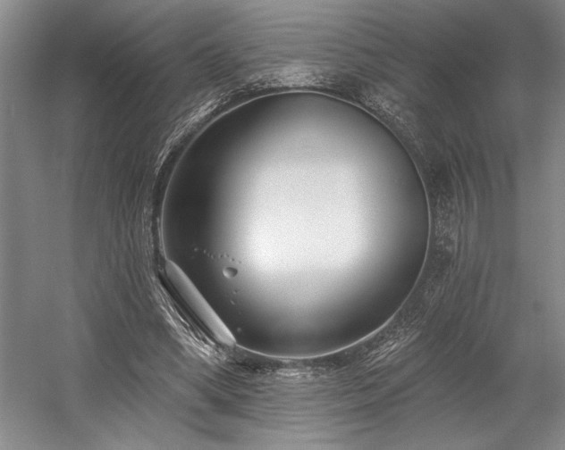 X0000058770394200509301049