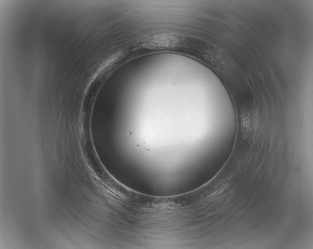 X0000058770396200509301049
