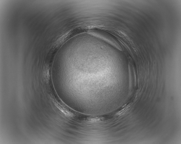X0000058770405200509301049