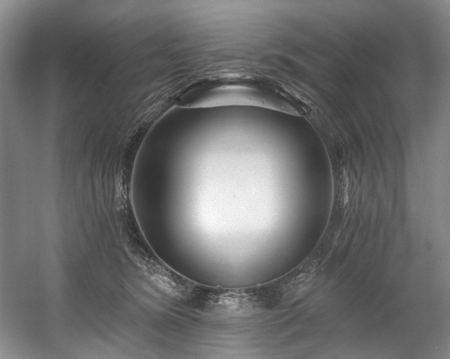 X0000058770420200509301049
