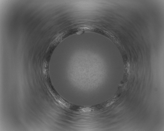 X0000058770423200509301049