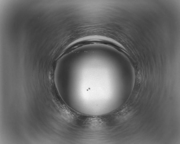 X0000058770424200509301049