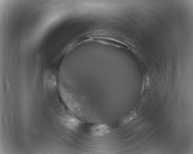 X0000058770431200509301049