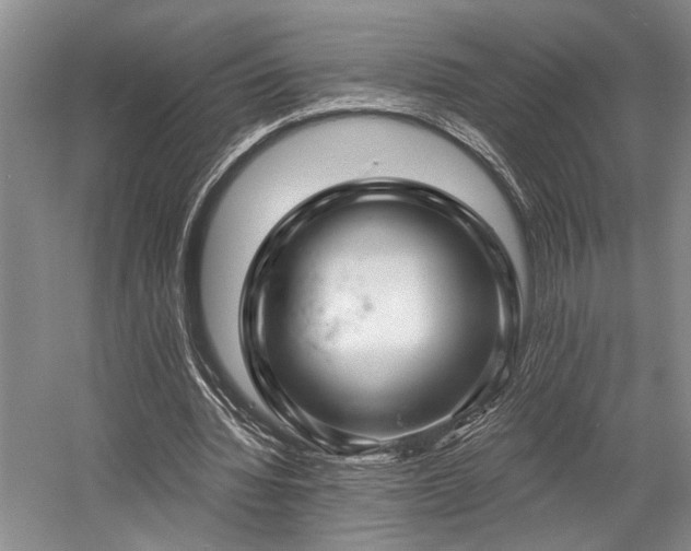 X0000058770436200509301048