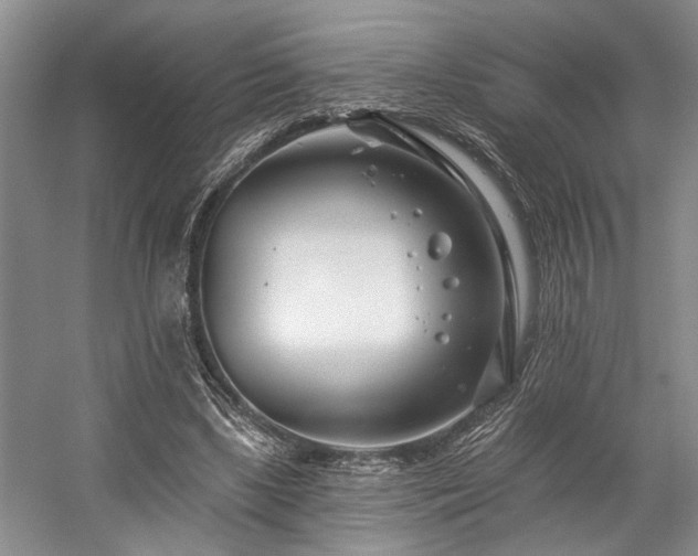 X0000058770443200509301048