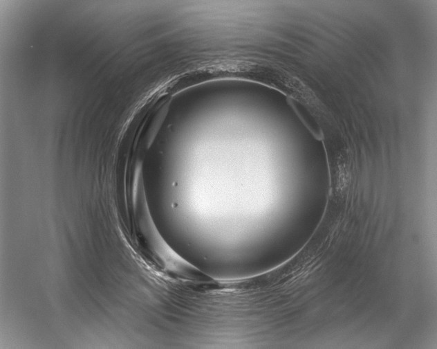 X0000058770444200509301048
