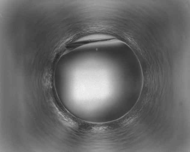 X0000058770450200509301048