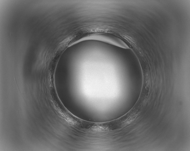 X0000058770453200509301048