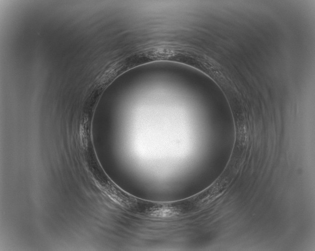 X0000058770460200509301048