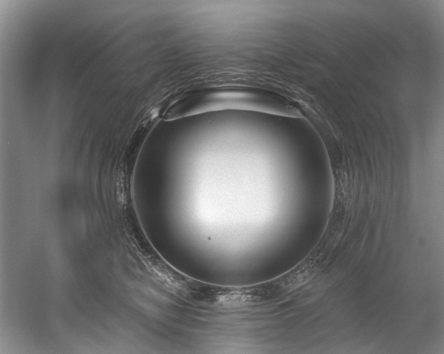 X0000058770470200509301049