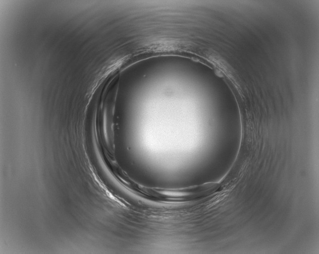 X0000058770485200509301048