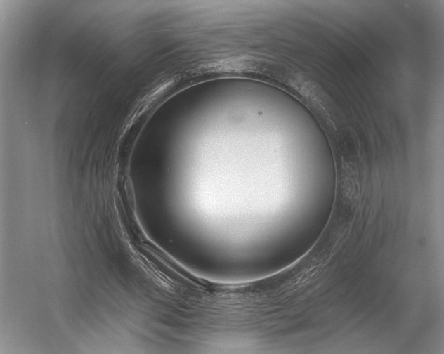 X0000058770486200509301048