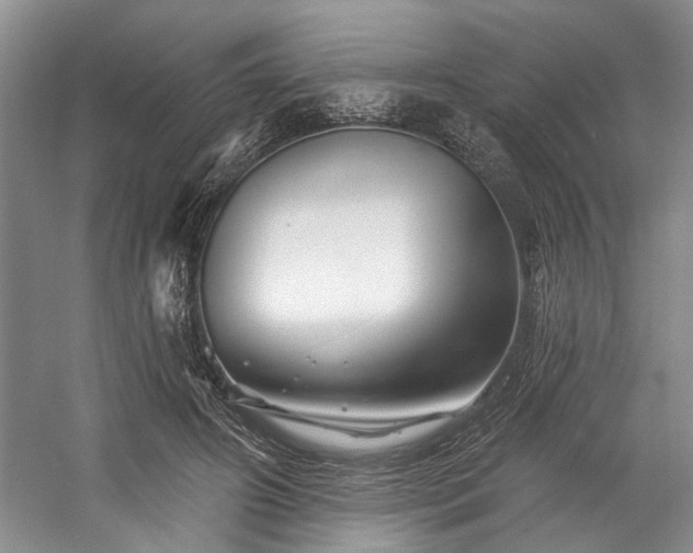 X0000058770498200509301048