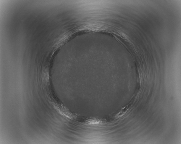 X0000058770500200509301048