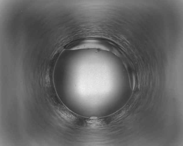 X0000058770516200509301047