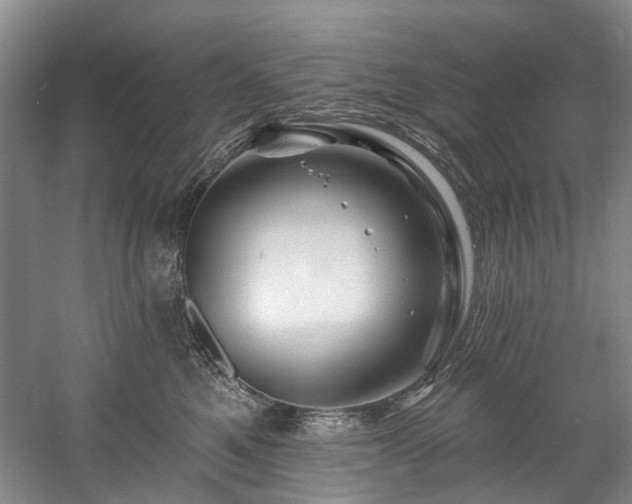 X0000058770521200509301047