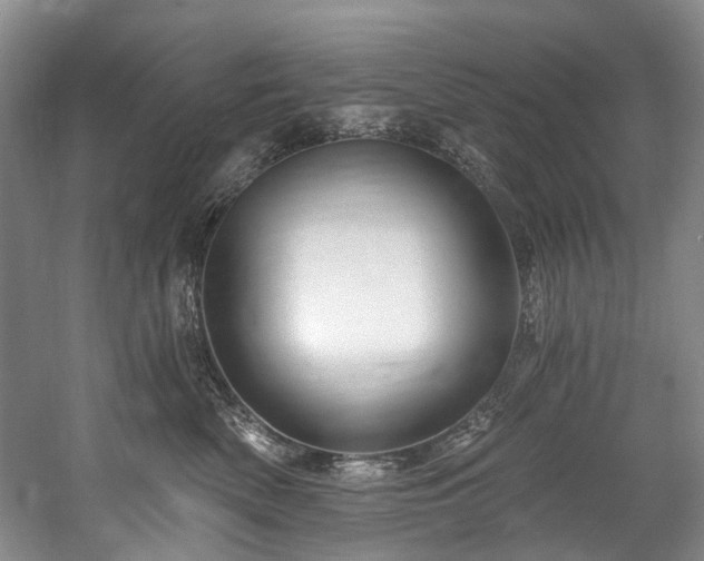 X0000058770522200509301047