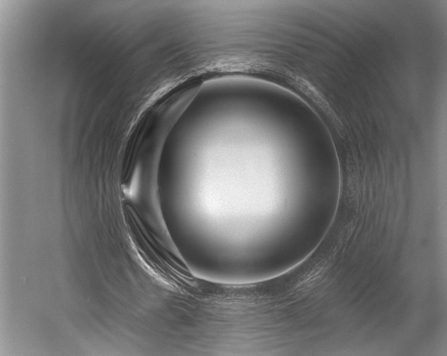 X0000058770530200509301046
