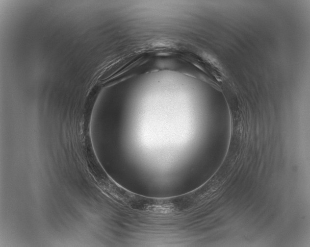 X0000058770548200509301047