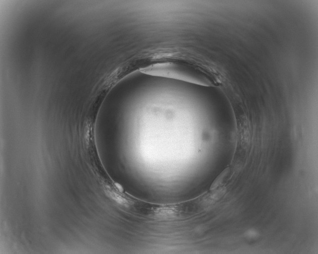 X0000058770574200509301047