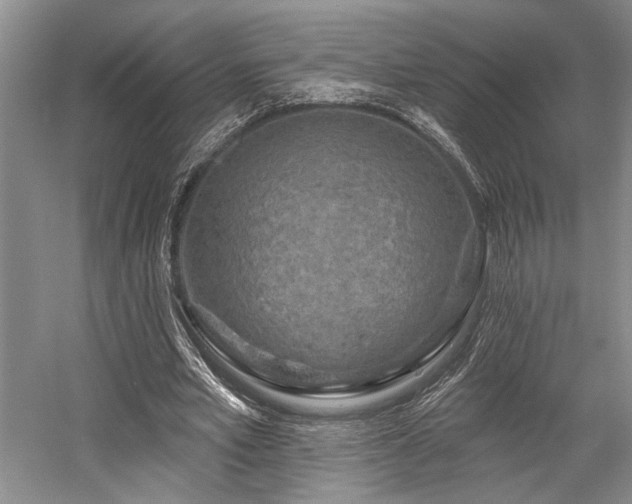 X0000058770581200509301046
